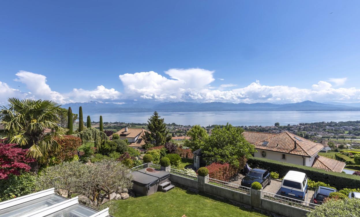 Ravissante villa avec vue sur le Léman et les Alpes image