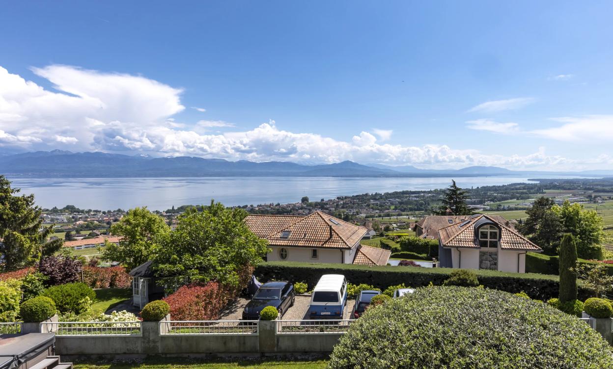 Ravissante villa avec vue sur le Léman et les Alpes image