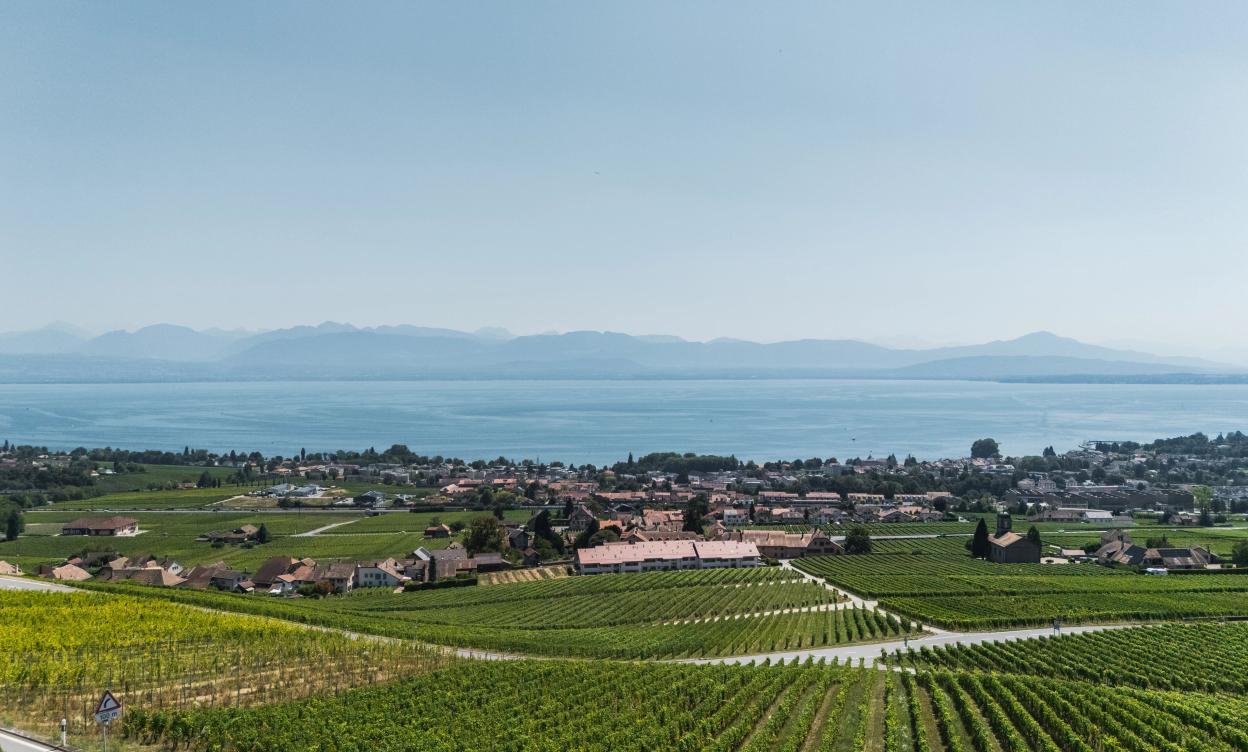 Villa d'Exception avec Vue sur le Lac image