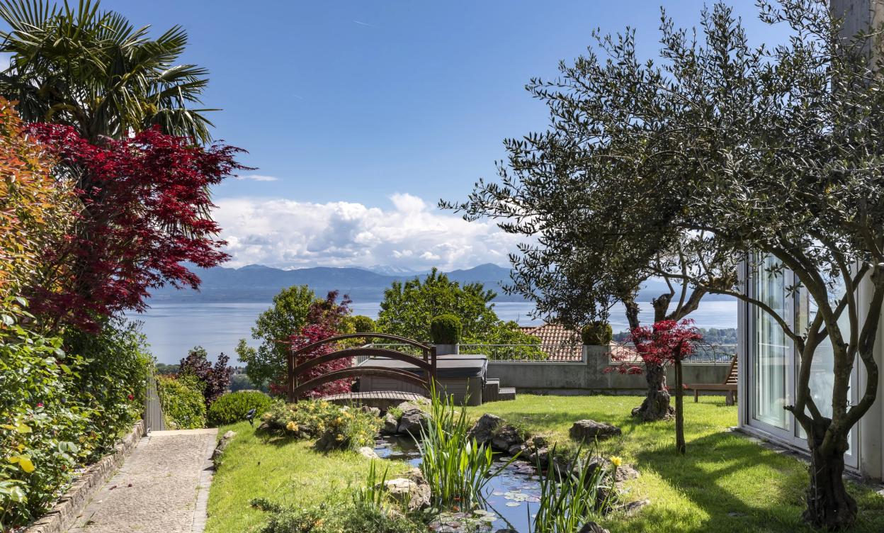Ravissante villa avec vue sur le Léman et les Alpes image